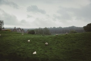 ESG News regarding UK sustainable funding for farmers