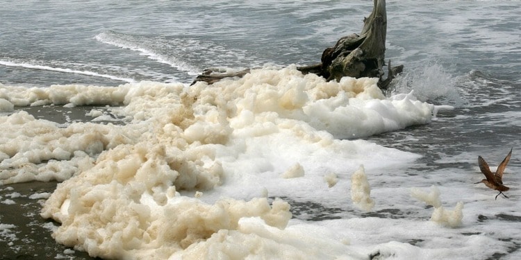 Microsoft, Carbon Direct Launch mCDR Integrity Framework