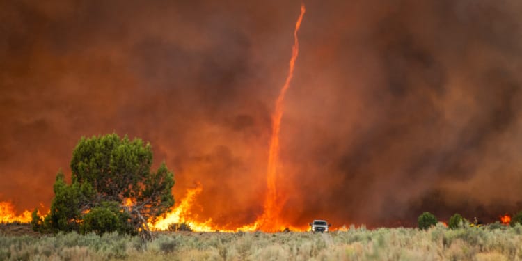 climate change wealth