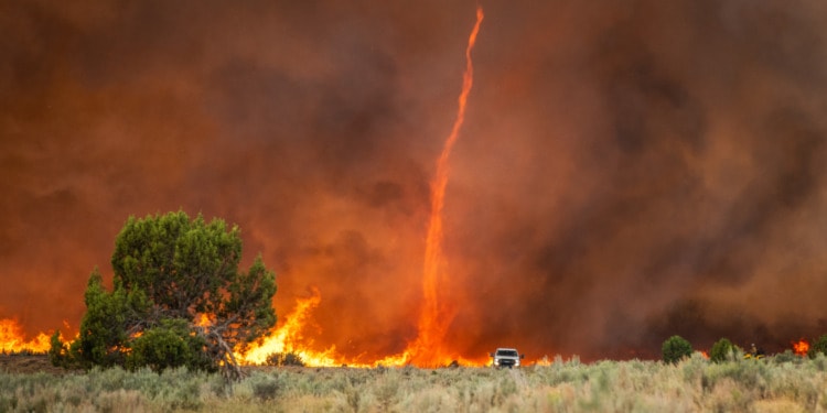 climate change wealth