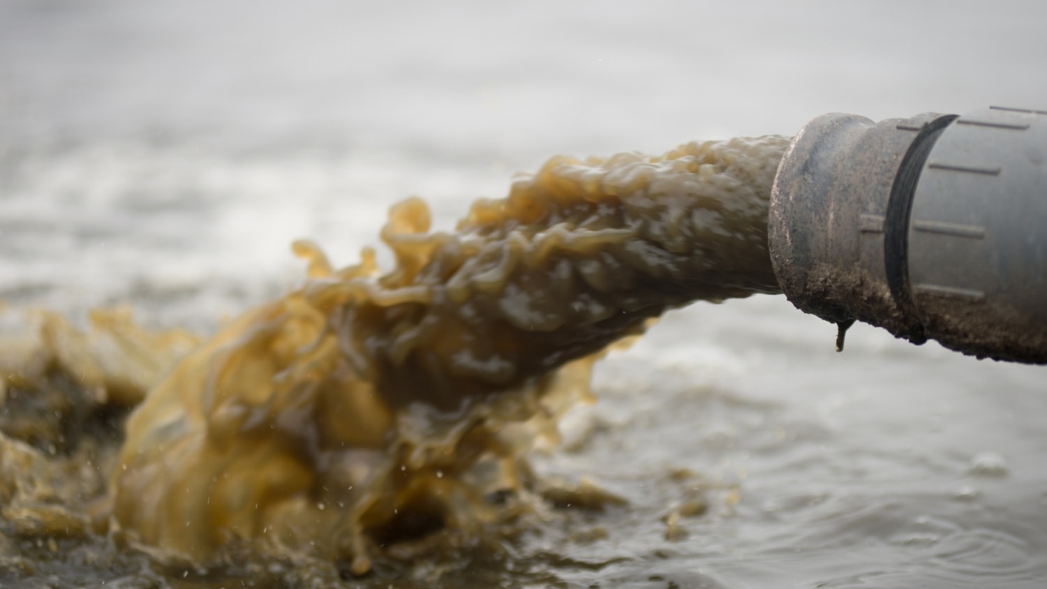 trump clean water act