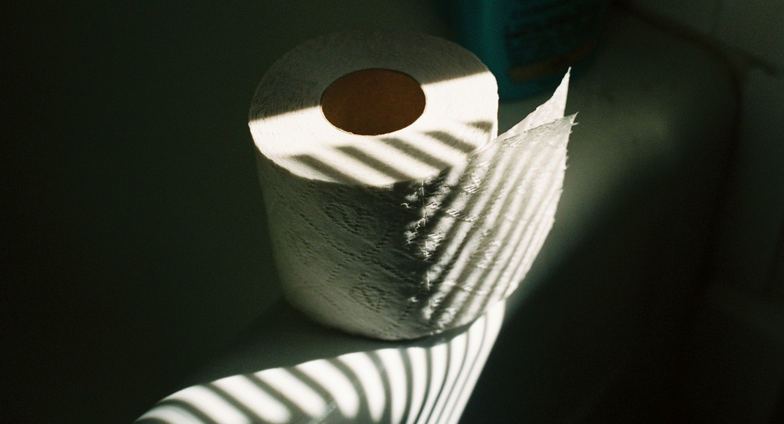 toilet paper