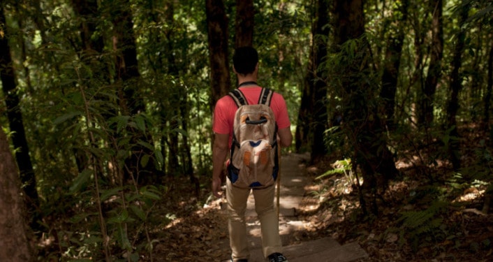 Track, Explore, Protect: Wildlife Adventures That Make a Difference