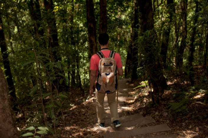 Track, Explore, Protect: Wildlife Adventures That Make a Difference