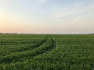 European Securities and Markets Authority published Consultation draft for ESG regulations