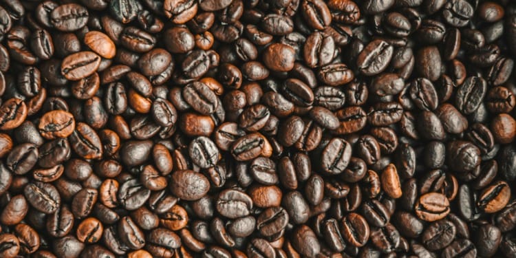 European Union Deforestation Regulation and its impact on small coffee farmers across the globe