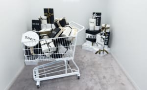 Shein sees a giant increase in carbon emissions in 2024