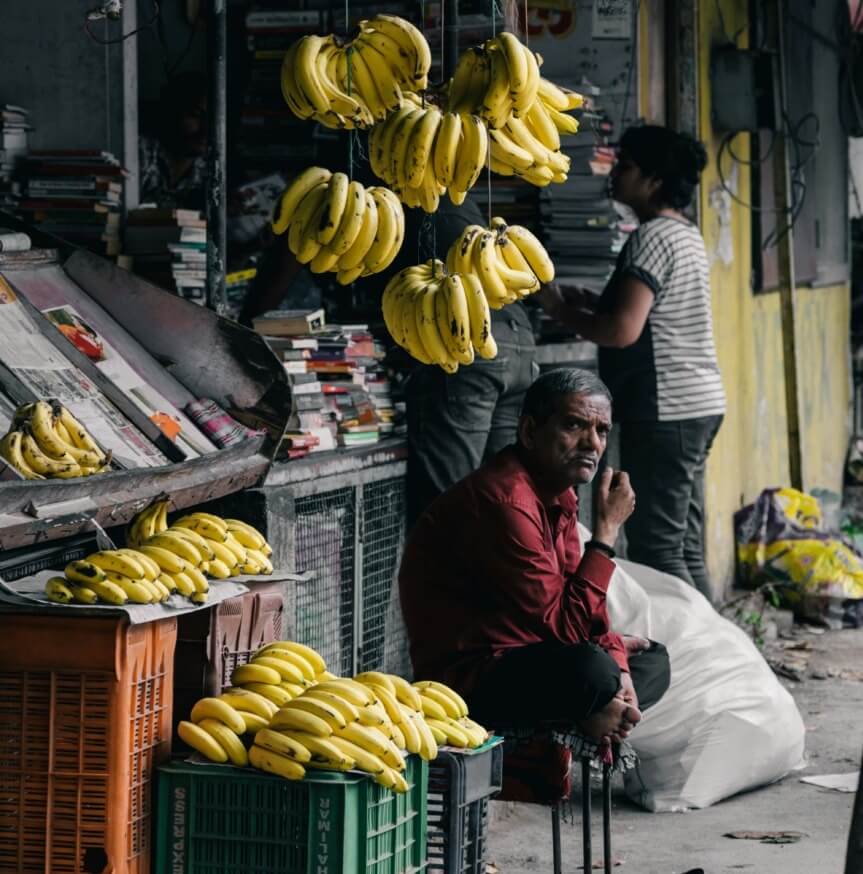 climate change bananas