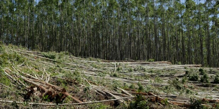 ESG news covering the EU’s delay of deforestation rules, rising U.S. housing risks from climate impacts, IFC’s $100M clean-energy investment in emerging markets, and ABN AMRO’s appointment of a new Chief Sustainability Officer.