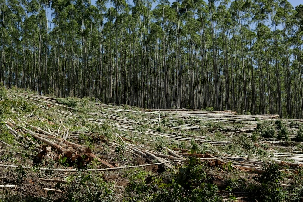 ESG news covering the EU’s delay of deforestation rules, rising U.S. housing risks from climate impacts, IFC’s $100M clean-energy investment in emerging markets, and ABN AMRO’s appointment of a new Chief Sustainability Officer.