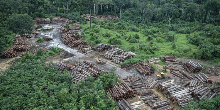 A new Reuter's investigation has revealed significant flaws in Brazil's carbon credit schemes.