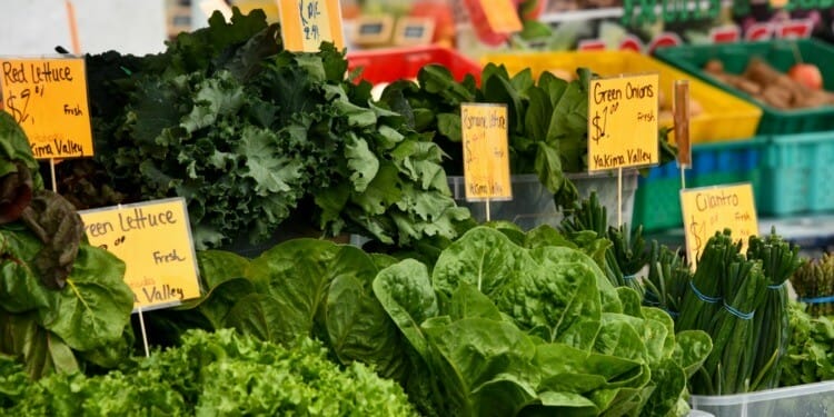 ESG news regarding the rise of food prices due to climate change, the new regulator for the UK’s private water sector, the growth of Chinese EV manufacturing in Brazil, and Canadian deep-sea mining firm under legal scrutiny for trying to bypass permits