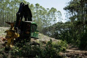 ESG News regarding carbon credits used in Brazil illegal deforestation