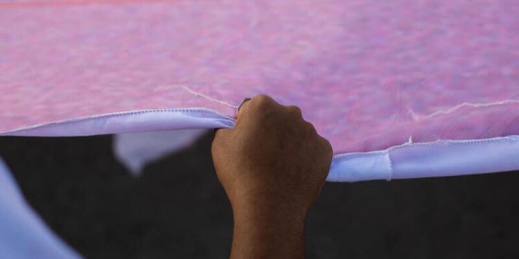 youth political participation