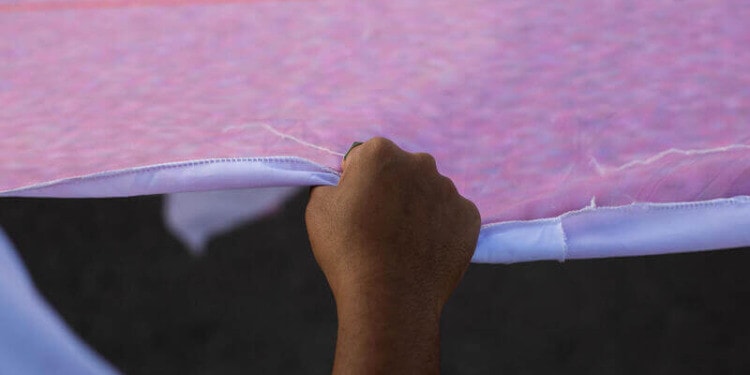 youth political participation