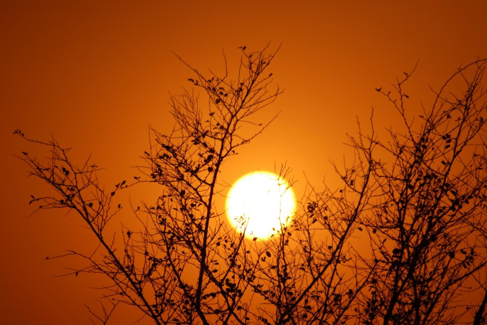 Heatwaves in Europe will grow more intense as the climate continues to change