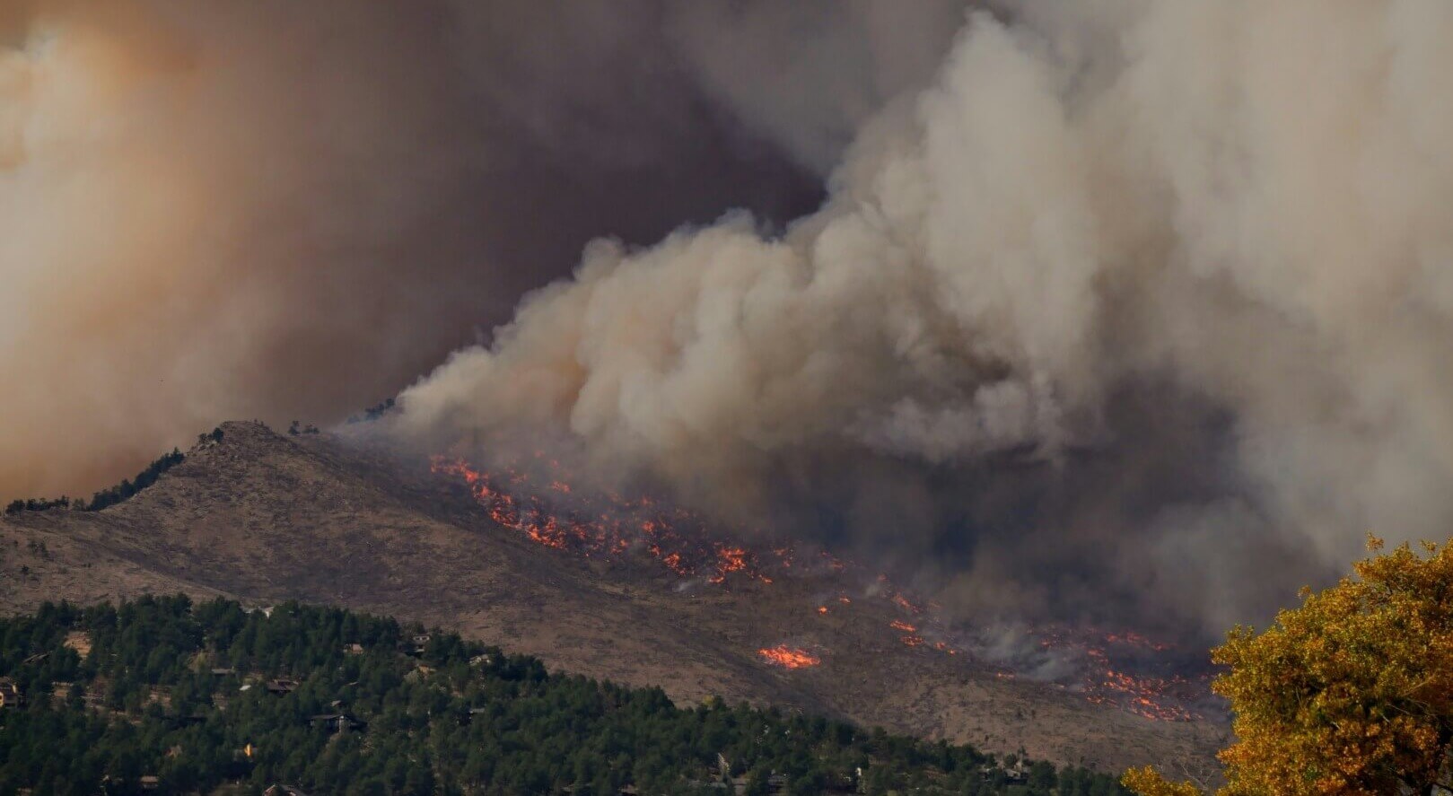 wildfire pollution water