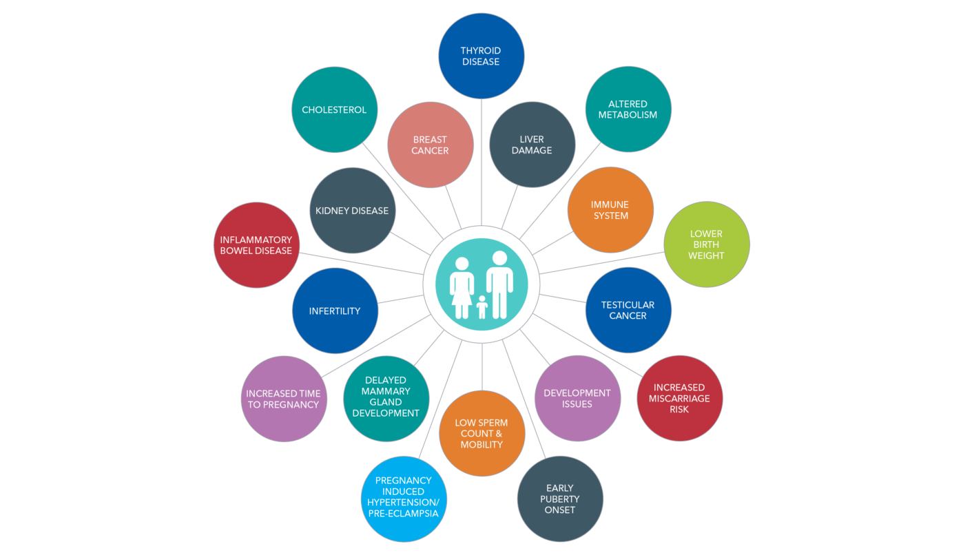 forever chemicals impact on human health