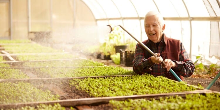 A Greener Retirement: How Seniors Are Leading the Sustainable Living Movement