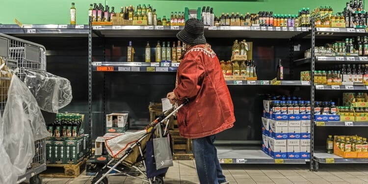 Exporting Ukrainian Cooking Oils: A Look at the Global Market Trends