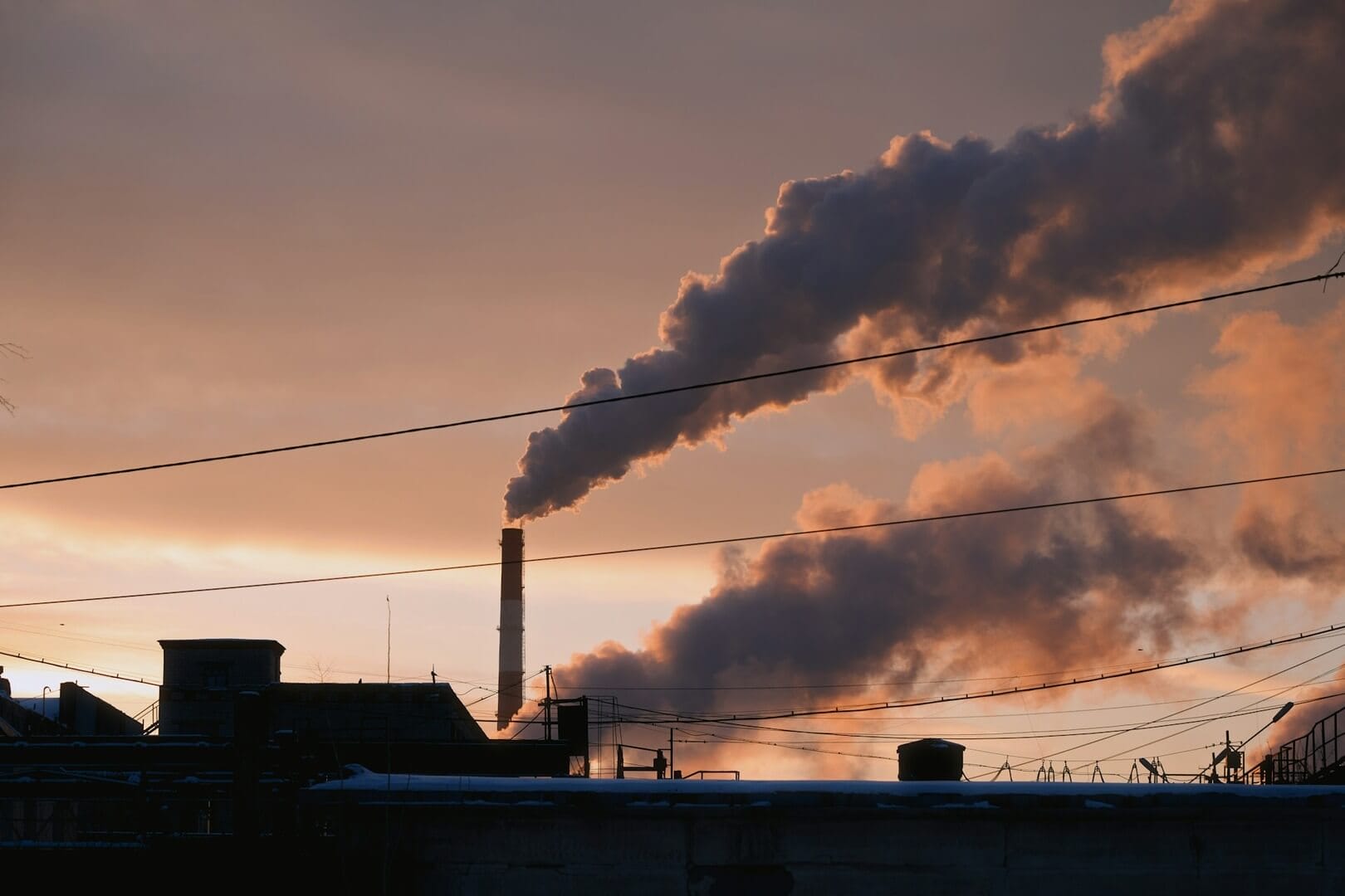 2024 CO2 Levels Break Records, Sparking More Concerns