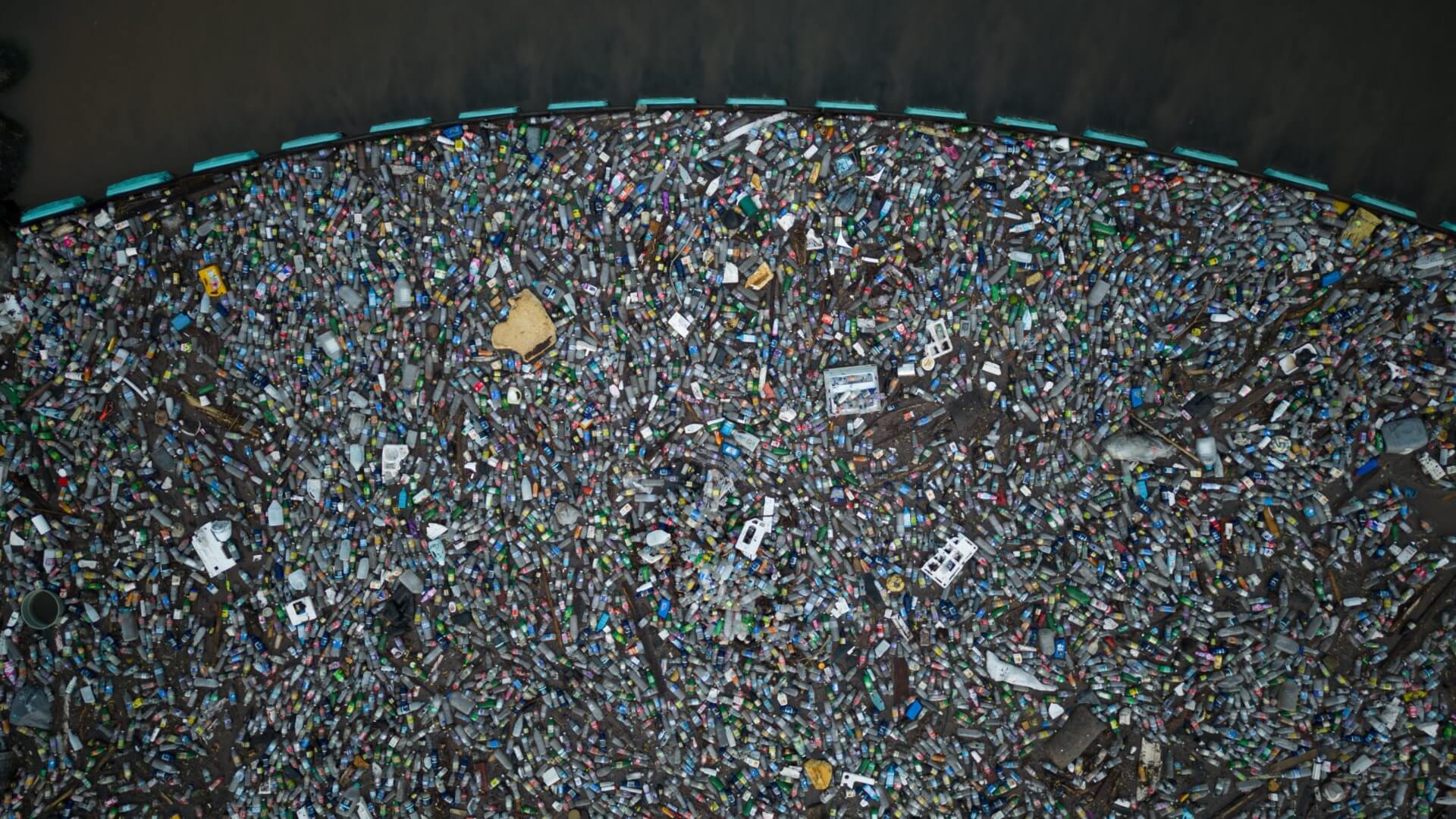 Plastic pollution coral reefs