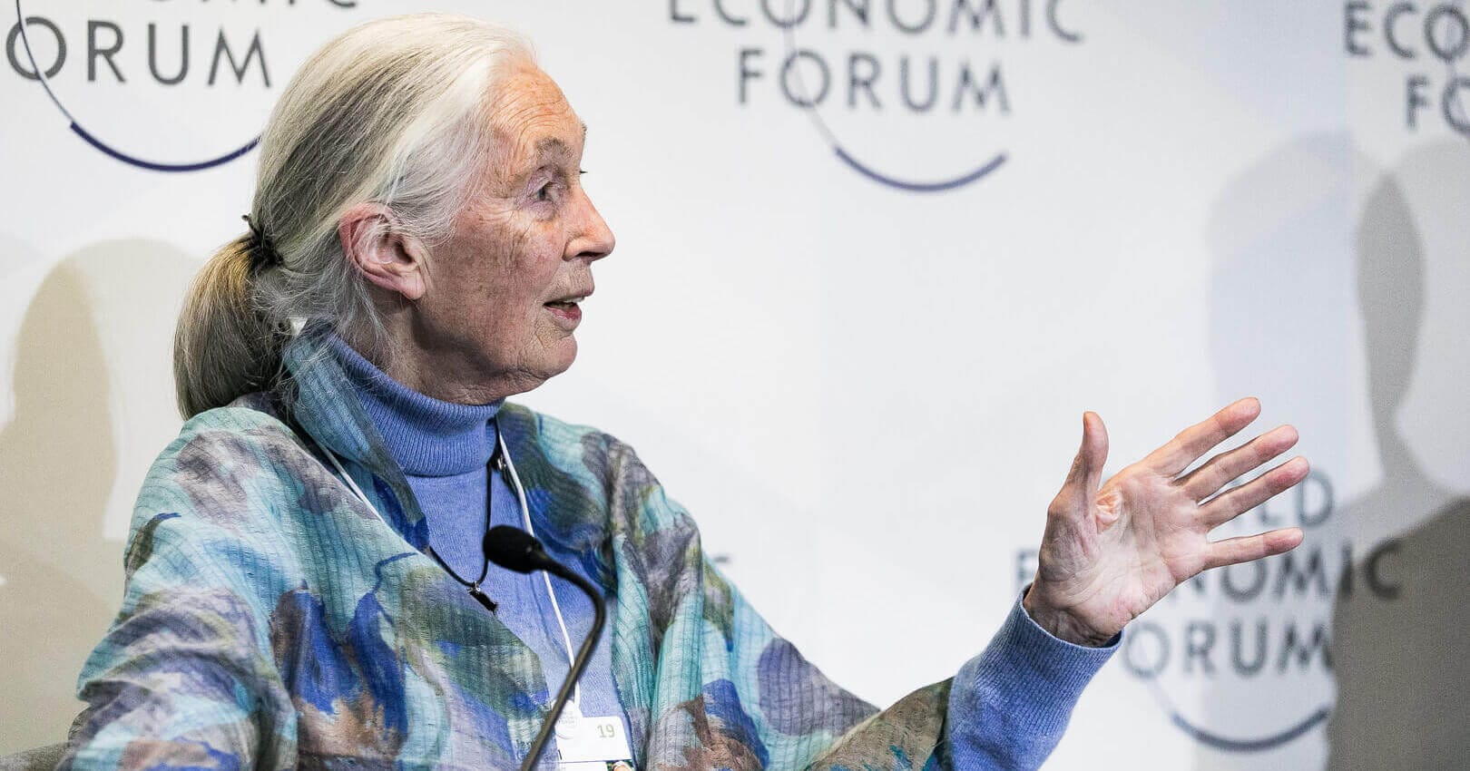 Jane Goodall