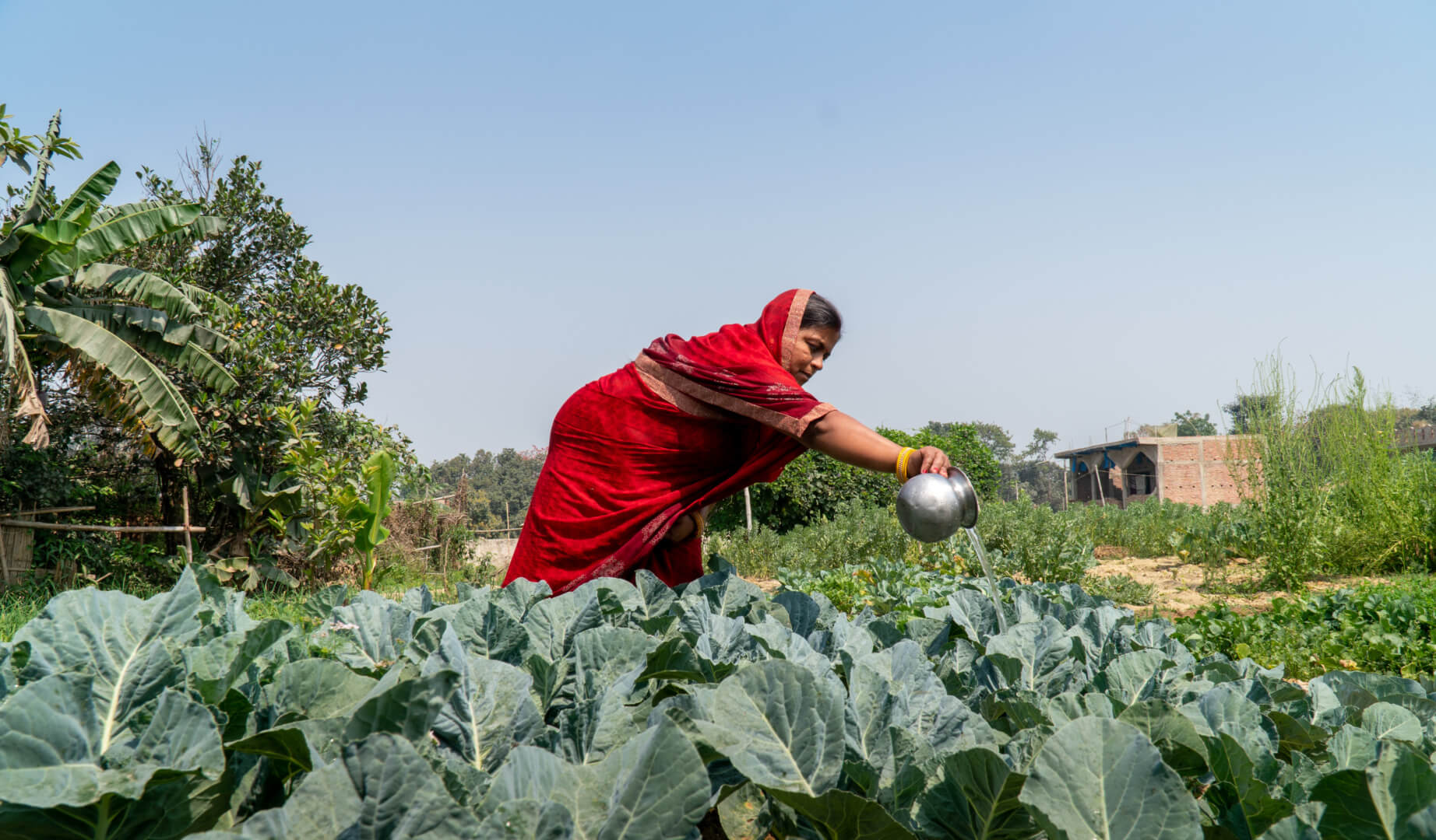 access to safe water and sanitation