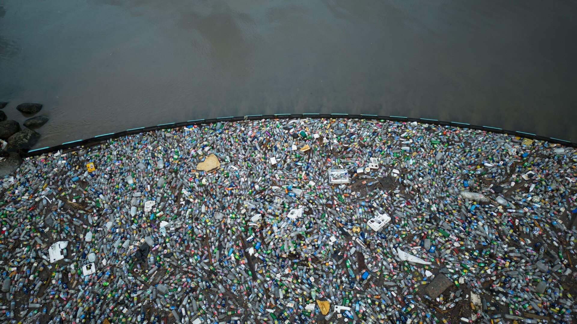 Plastic pollution coral reefs