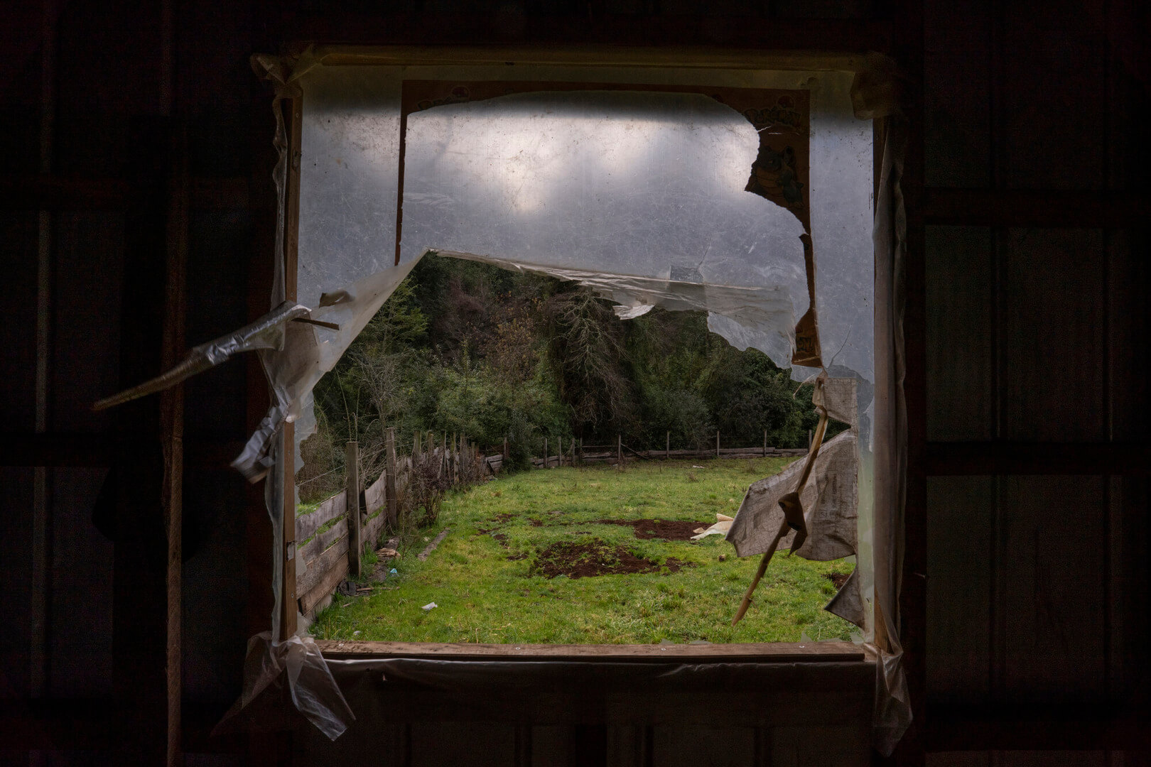 A patrially broken window with vegetation beyond it.