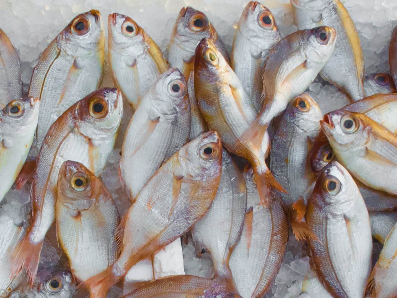 How Leading Seafood Brands Are Changing Fishing For The Better