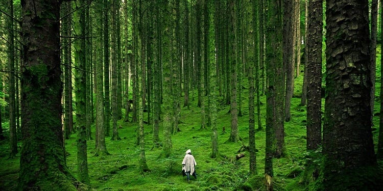 World Restoration Flagships