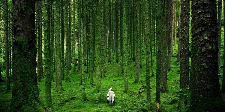 World Restoration Flagships