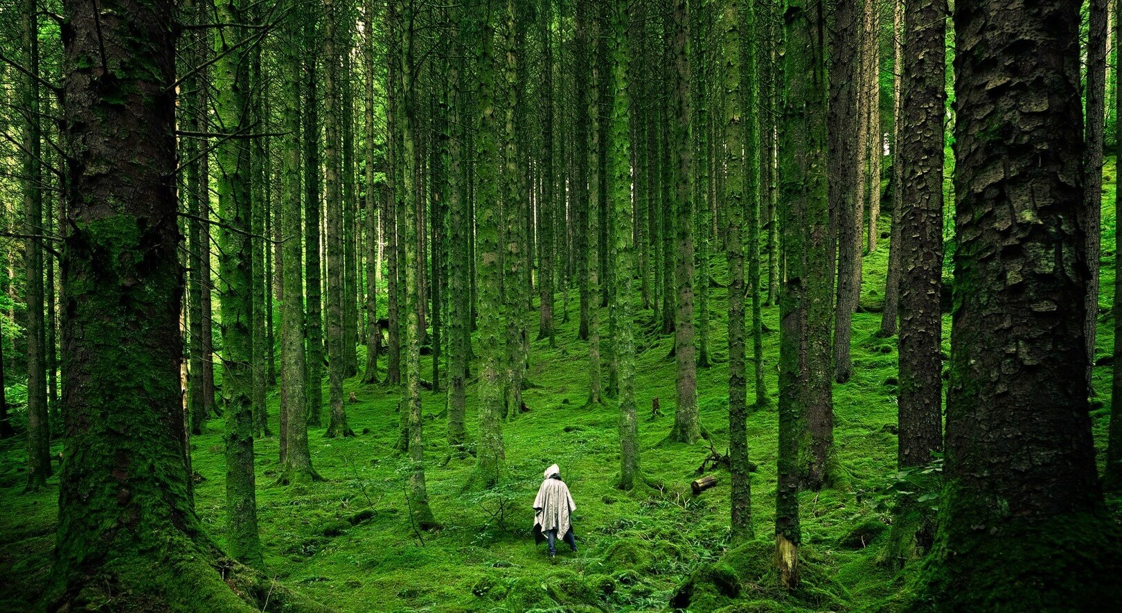 World Restoration Flagships