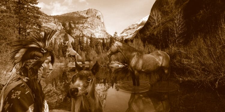 Native American Sovereignty