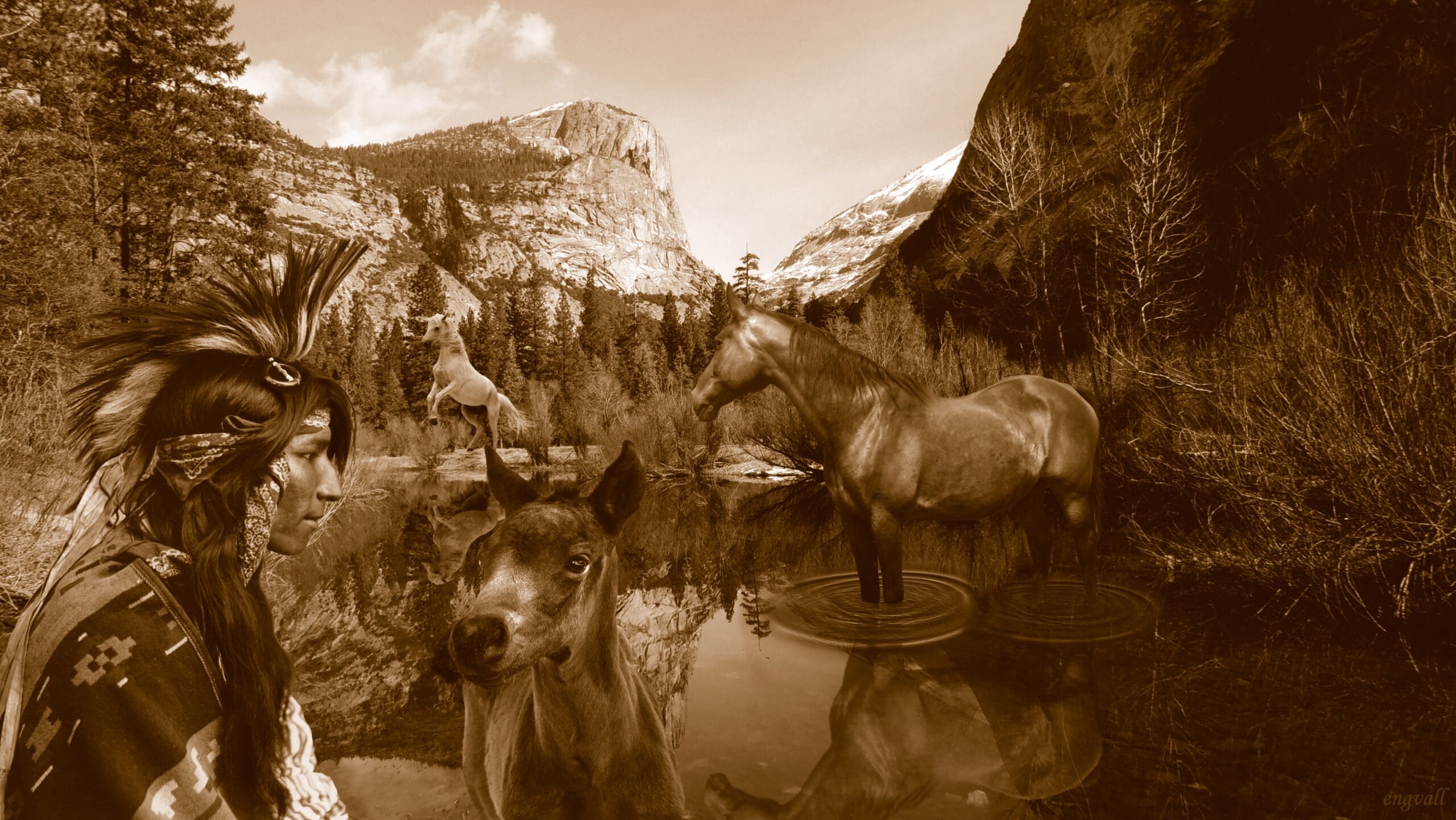 Native American Sovereignty