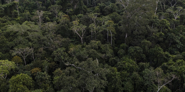 Encouraging Evidence of Momentum in Negotiations at COP30