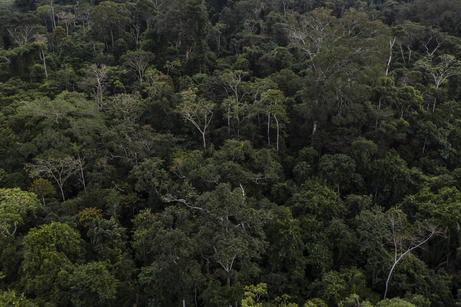 Encouraging Evidence of Momentum in Negotiations at COP30