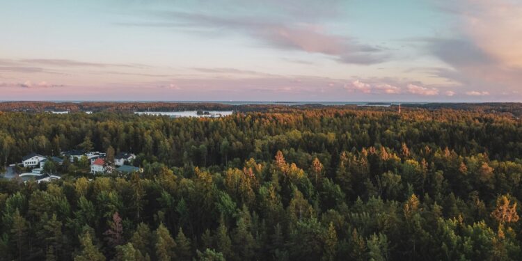 ESG news regarding EU weakening 2040 target based on lack of forest carbon absorption, EIB grants Iberdrola €500 million for offshore wind project, Trump administration excluded the Atlantic from drilling, and ExxonMobil threatens to leave EU amid new climate law