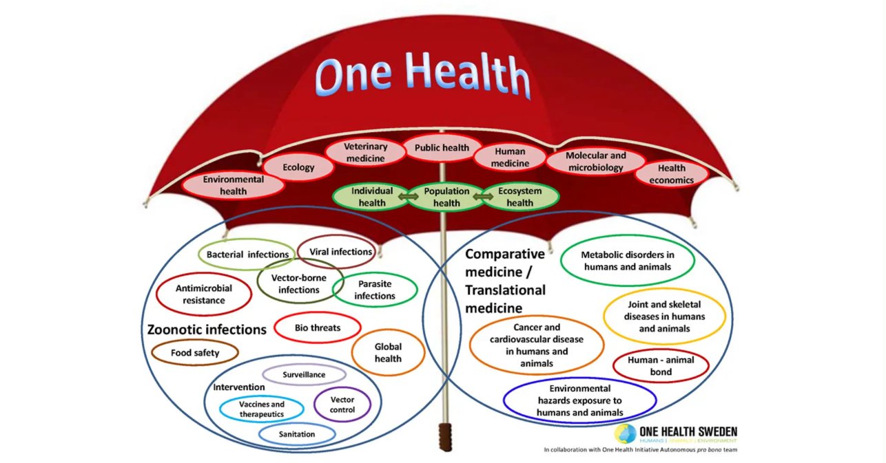 Why and How to Apply the One Health Concept - Impakter