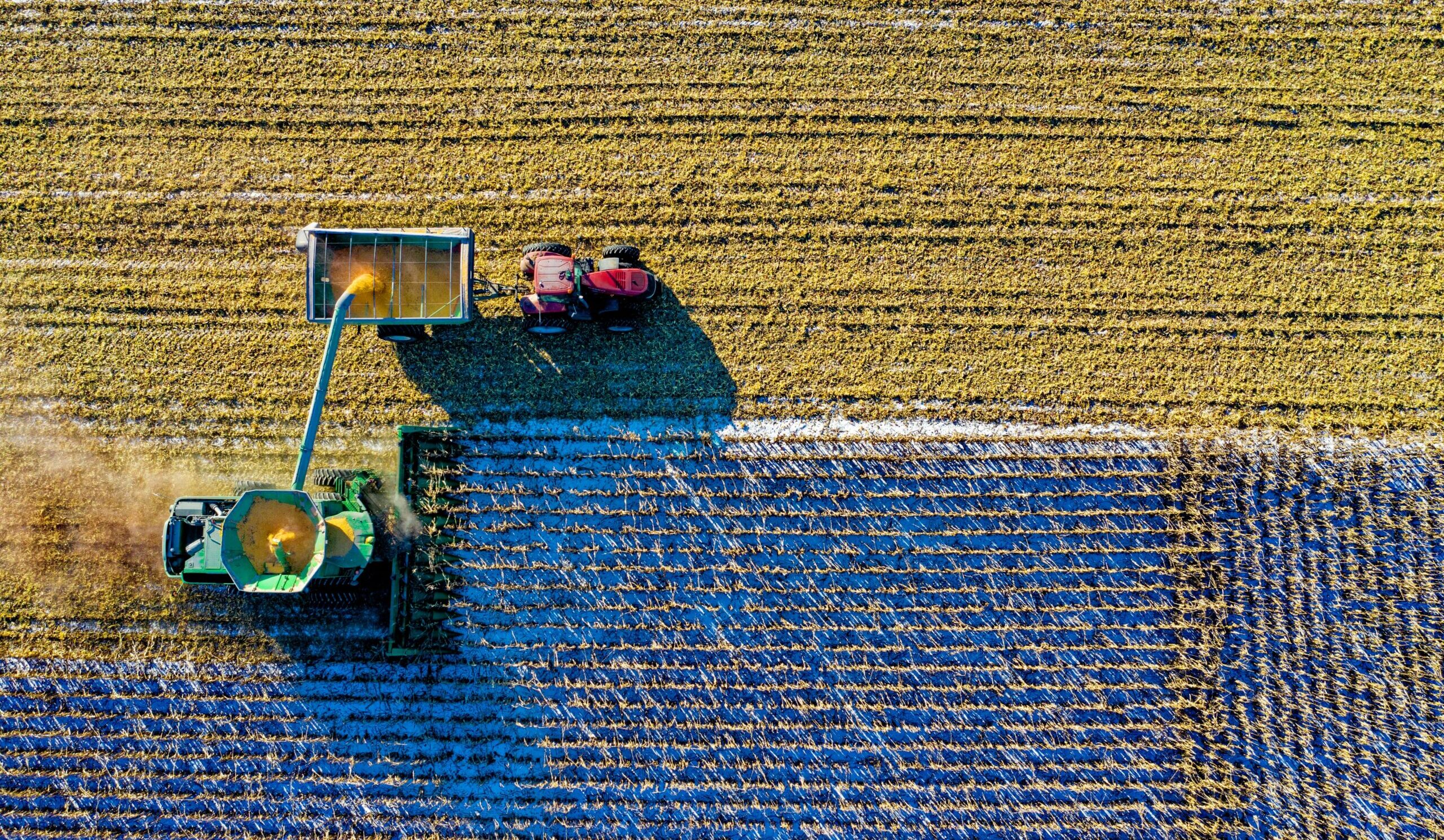 climate change and food
