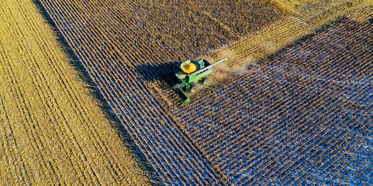 COP30: Countries’ Climate Agrifood Ambitions Undermined by Funding Gaps, Report Finds