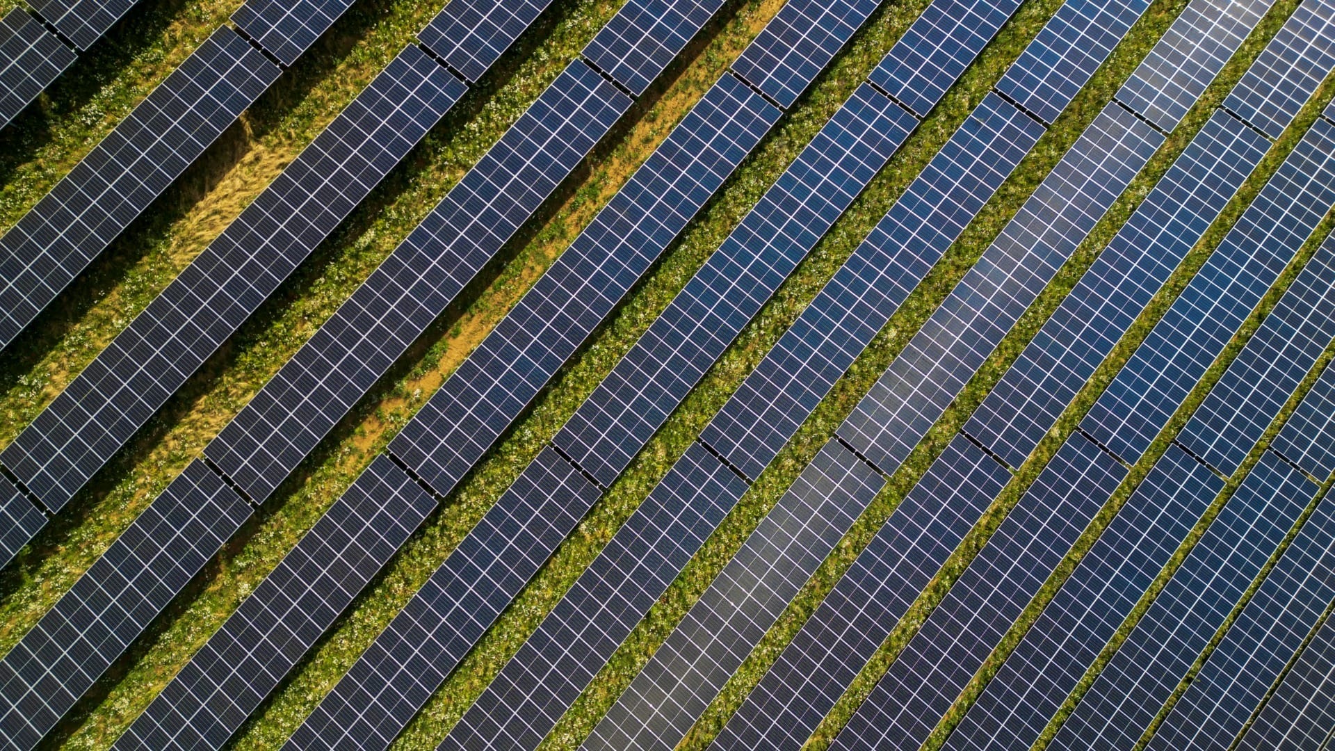 Microsoft Buys Solar Power in Spain and Funds Community Projects