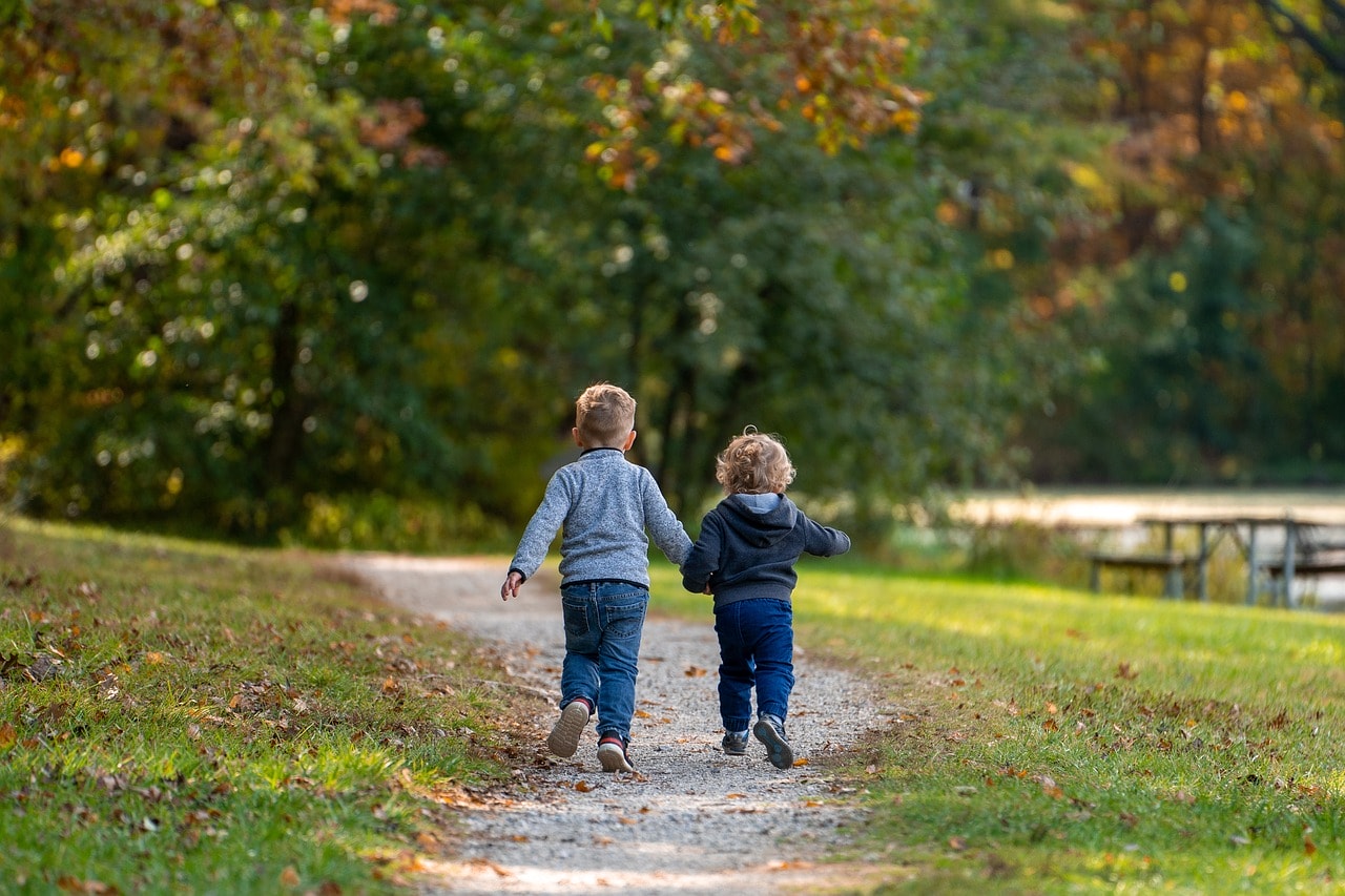 Nature-Play Schoolyards: Boosting Learning Outcomes with Playground Systems