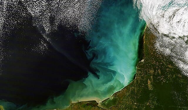 Discovery of a carbon sponge under the ocean; HSBC survey shines positive acceptance of climate transition; New catalyst for clean hydrogen production; Google signs deal with Ebb for carbon removal.