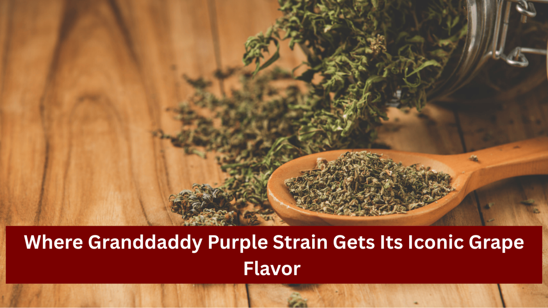 Granddaddy Purple Strain