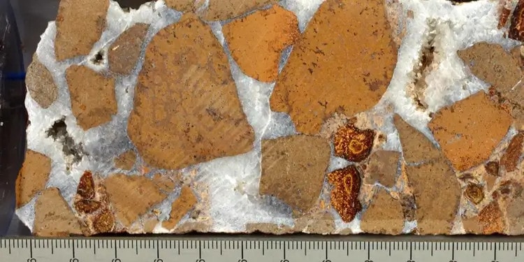 Discovery of a carbon sponge under the ocean; HSBC survey shines positive acceptance of climate transition; New catalyst for clean hydrogen production; Google signs deal with Ebb for carbon removal.