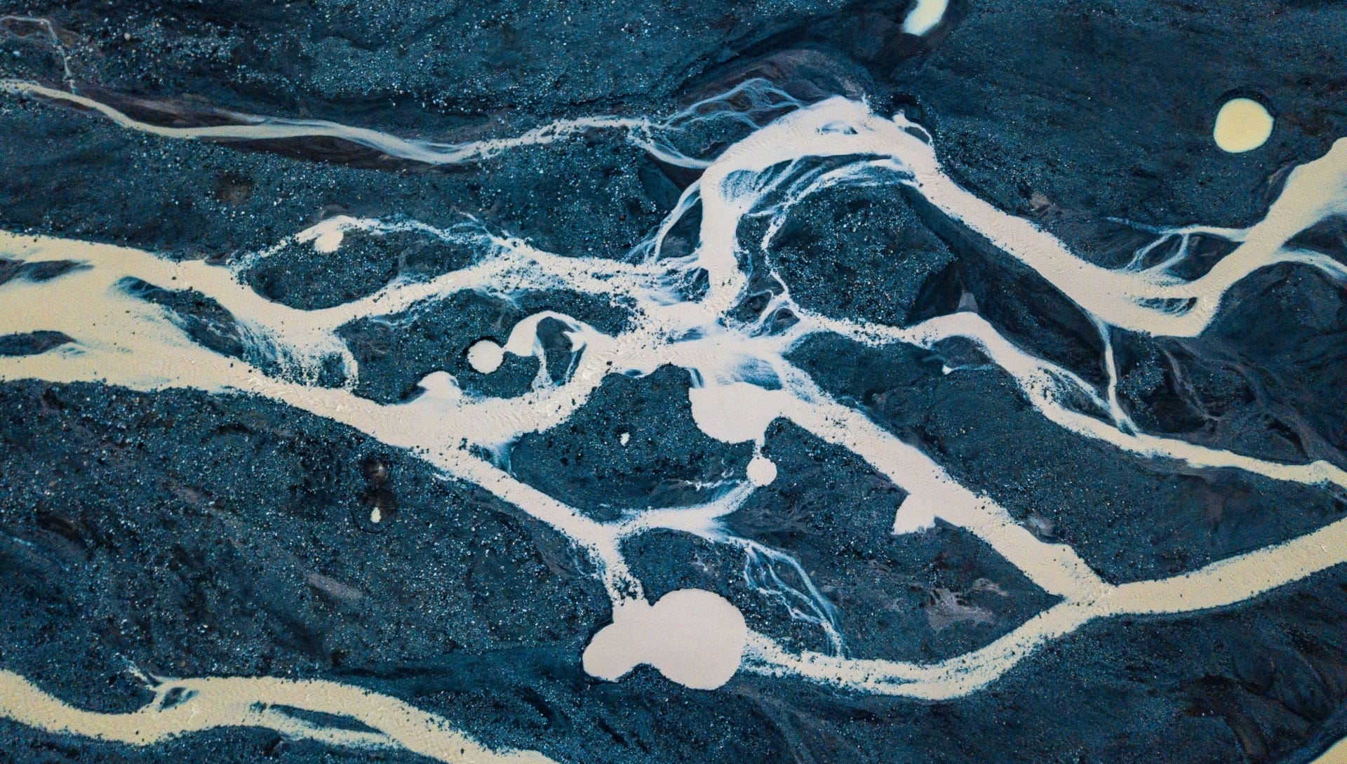 Impakter’s Most-Read Stories of 2025