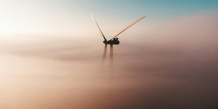 What’s Next for Sustainable Development in 2026