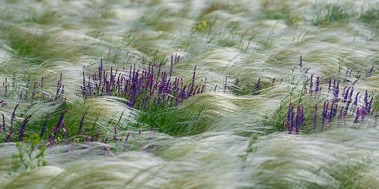 ESG News regarding Equinor wind farm project to resume in US, Blue Earth Capital raises $100 million, Google Signs Major 1.2 GW Carbon-Free Energy Deal, and US to Finalize 2026 Biofuel Quotas by March